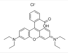 Rodamina B CAS#81-88-9