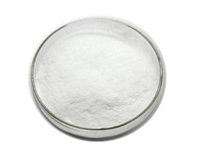 Natriumcarboxymethylstärke CAS-Nr. 9063-38-1