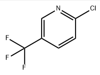 2-Cloro-5-trifluorometilpiridina CAS#52334-81-3