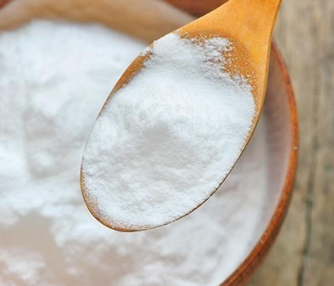 Maltodextrine CAS n° 9050-36-3