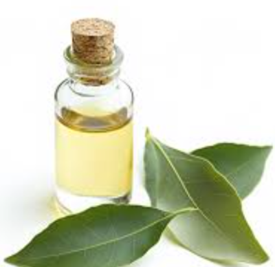 Nelkenöl CAS-Nr. 8000-34-8