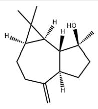 SPATHULENOL CAS#6750-60-3